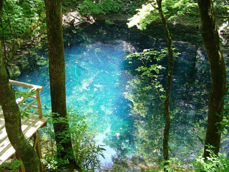 アオーネ白神十二湖 （深浦町）